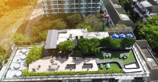 Climate-responsive architecture: Designing homes in synergy with nature