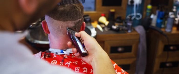 Pet Grooming with Hair Clippers: Risks, Alternatives, and Best Practices